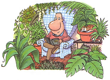 The Last Laugh: The Indoor Greenhouse Effect